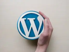 Optimiser le temps de chargement de son site internet sur WordPress : pourquoi confier la tâche à un professionnel ?