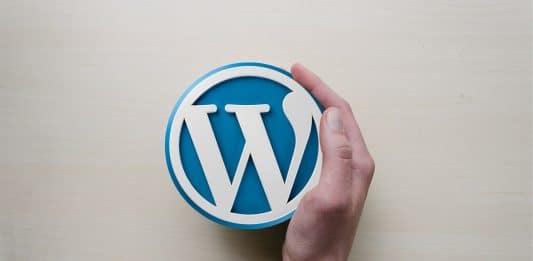 Optimiser le temps de chargement de son site internet sur WordPress : pourquoi confier la tâche à un professionnel ?