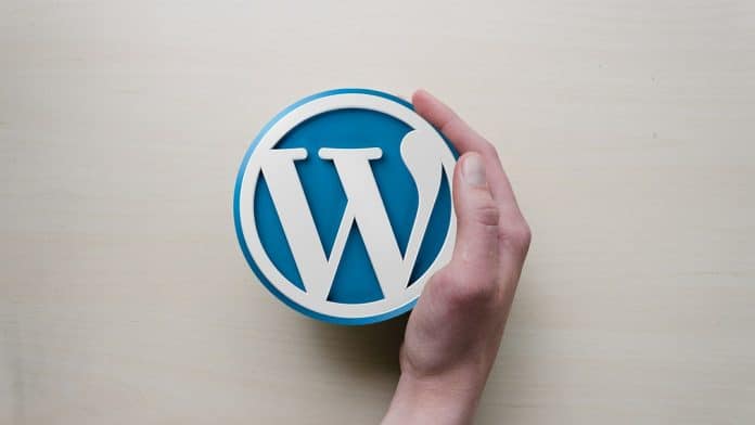 Optimiser le temps de chargement de son site internet sur WordPress : pourquoi confier la tâche à un professionnel ?